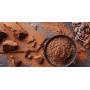 Chocolat chaud Tradition "Trésor" 1kg