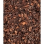 Infusion - Ecorces de fèves de Cacao